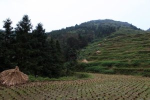 范文芳挺孕肚颁奖 吴尊求当郑惠玉亲家